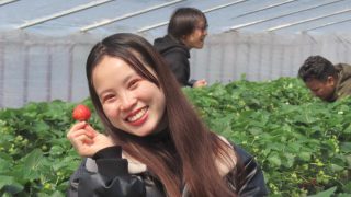 明日香村へいちご狩り
